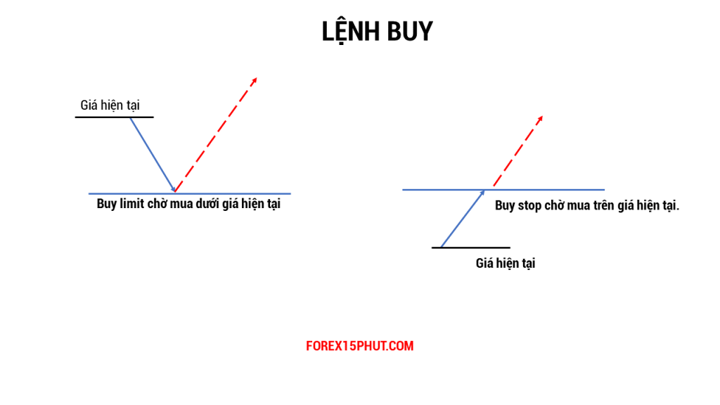 Lệnh Forex buy, buy limit, buy stop